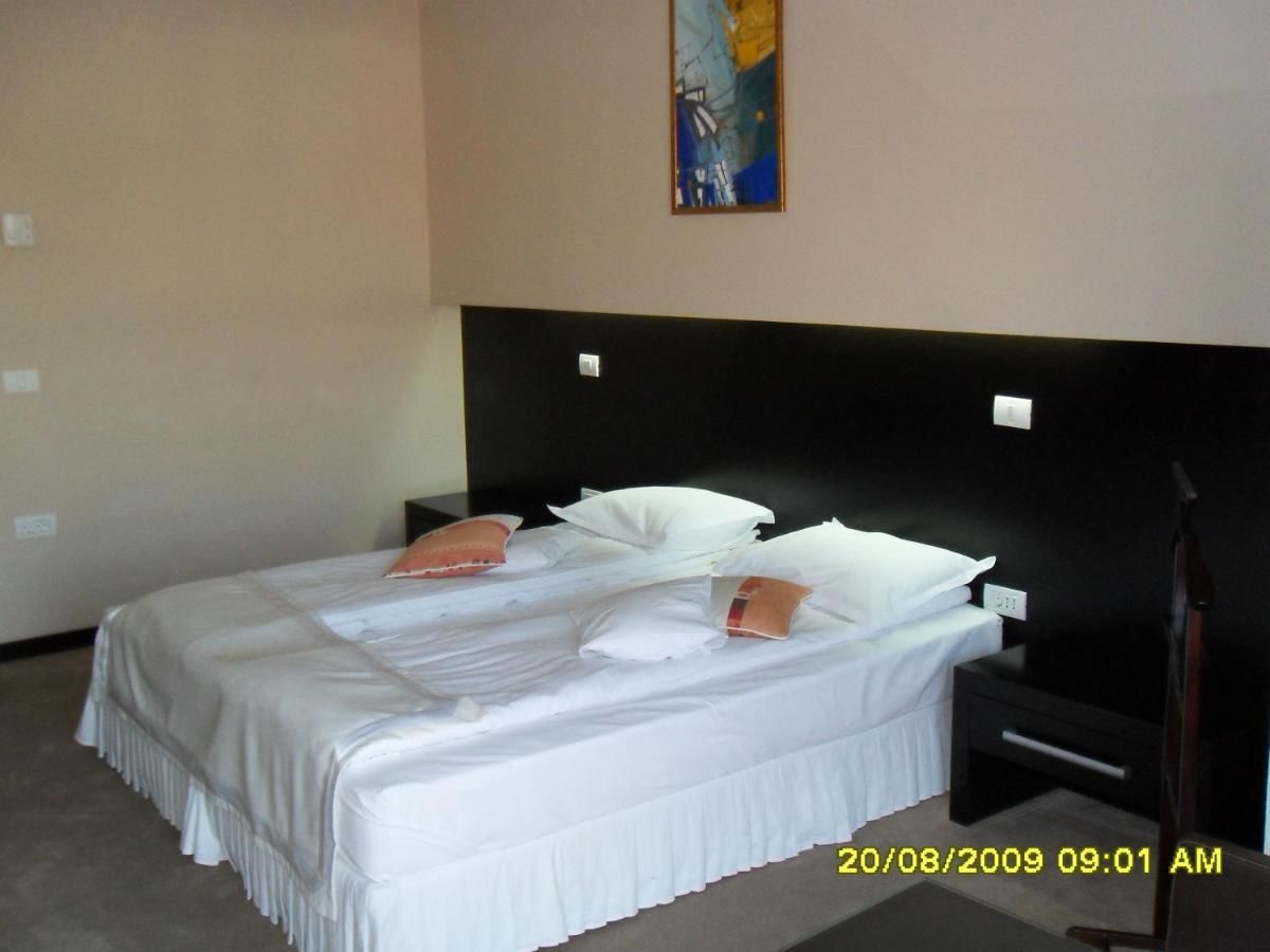 Отель Hotel Delpack Тимишоара-20