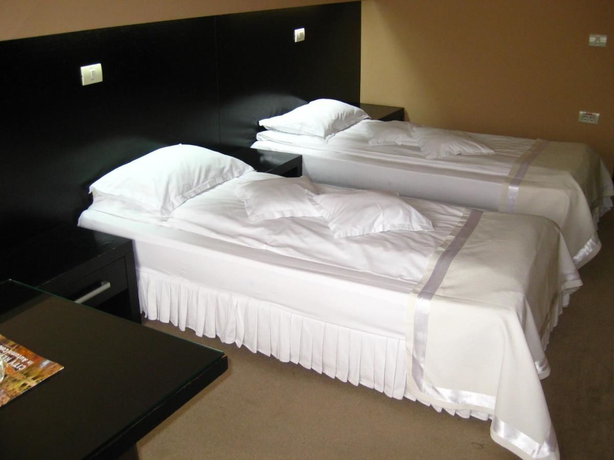 Отель Hotel Delpack Тимишоара-30