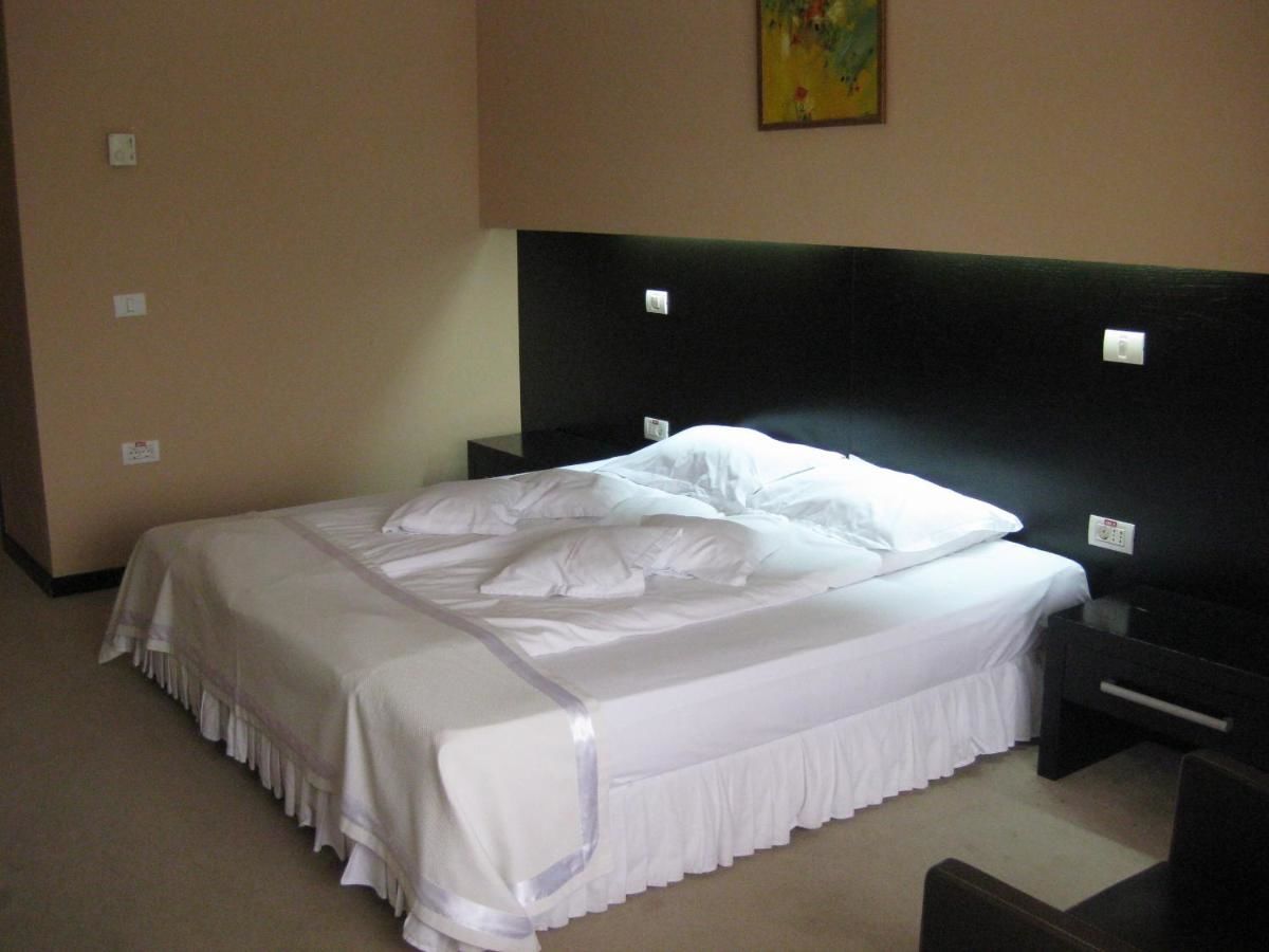 Отель Hotel Delpack Тимишоара-42