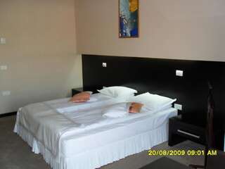 Отель Hotel Delpack Тимишоара Двухместный номер с 1 кроватью-2